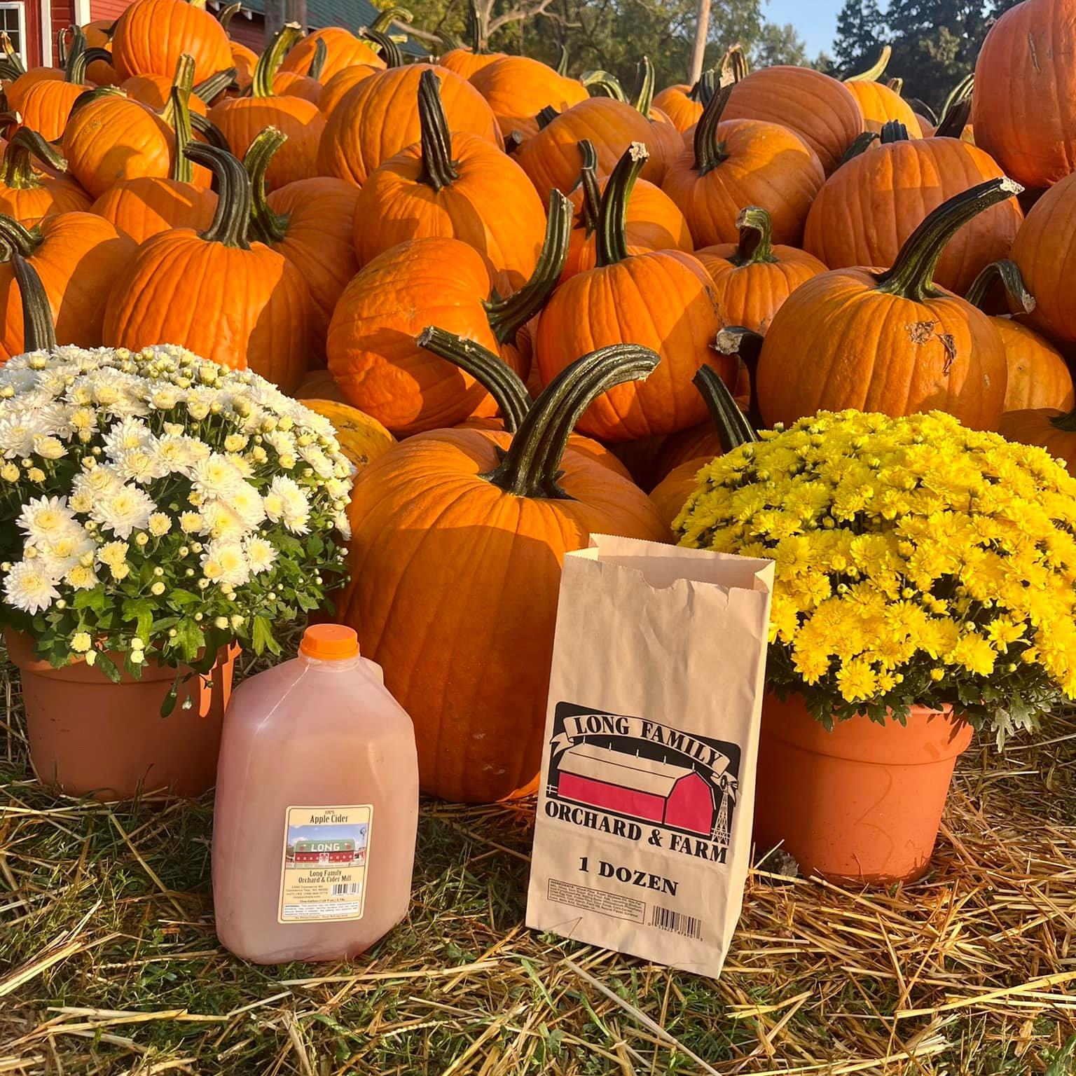 A gallon of fresh cider and a dozen donuts with mums at the Long Family Orchard Cider Mill