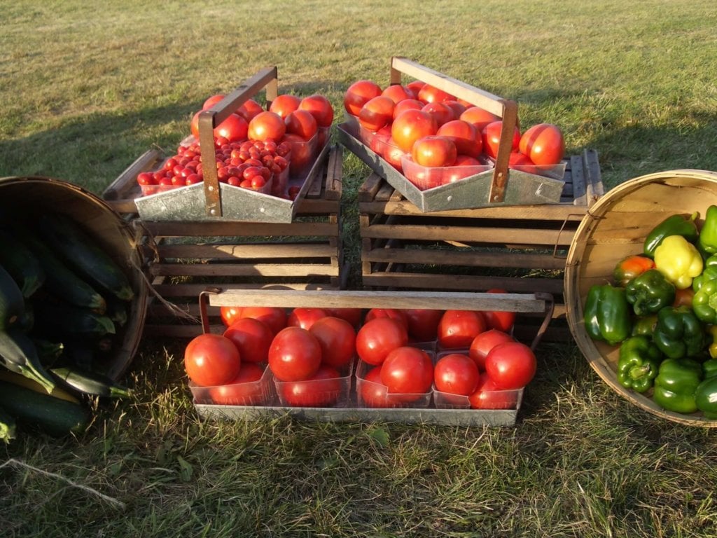 Tomatoes and locally grown vegetables from the Long Family Orchard garden