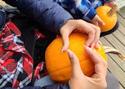 Hands picking out a pumpkin at the Long Family Orchard pumpkin patch