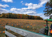 Fields under an open sky at Long Family Orchard in Commerce Township