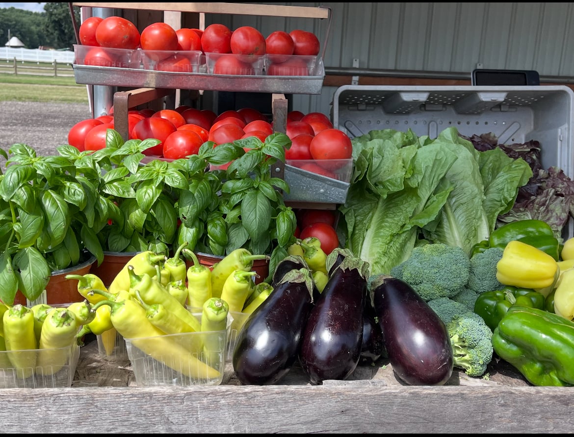 Farm fresh vegetables at the Long Family Orchard produce stand