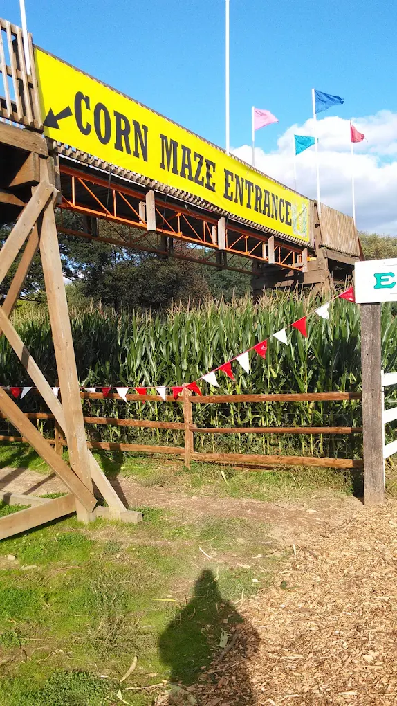 The corn maze entrance at Long Family Orchard in the fall