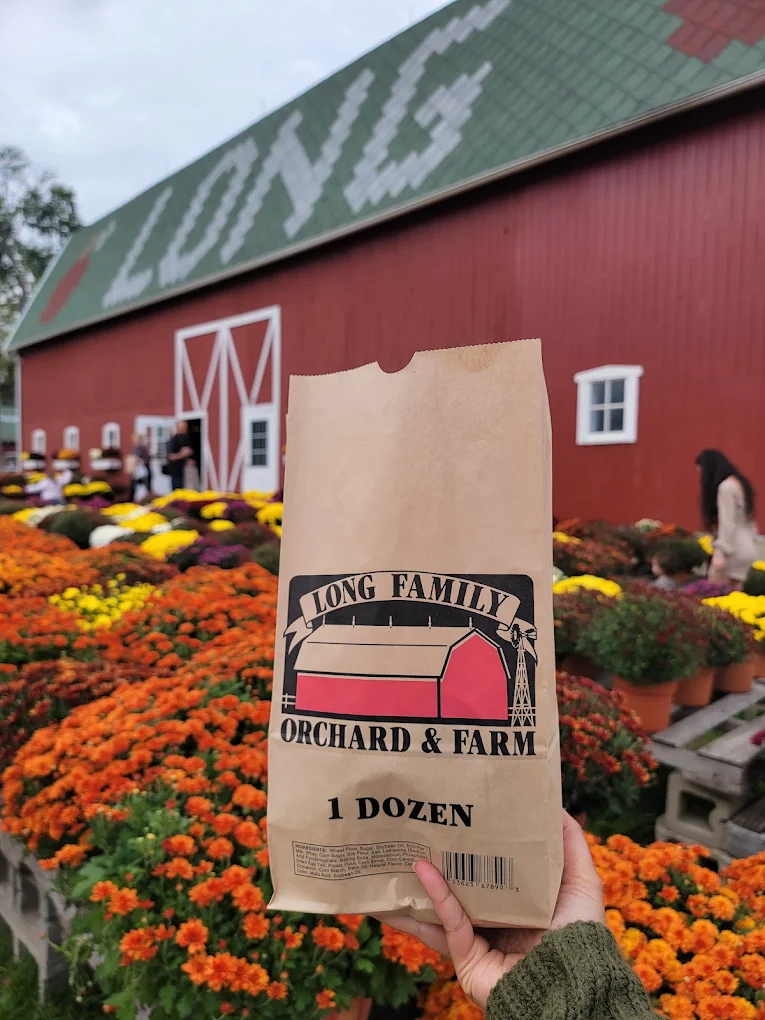 A bag of hot apple cider donuts from Long Family Orchard